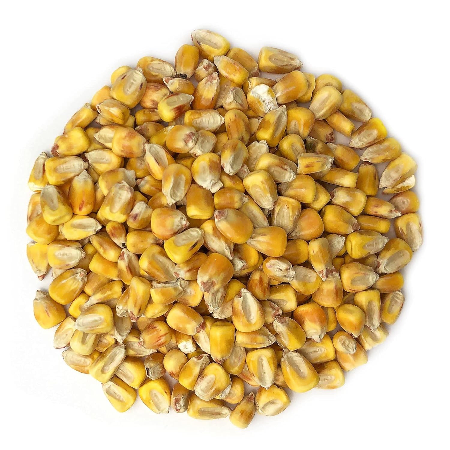 Кукурудза волога 14%, 813 т