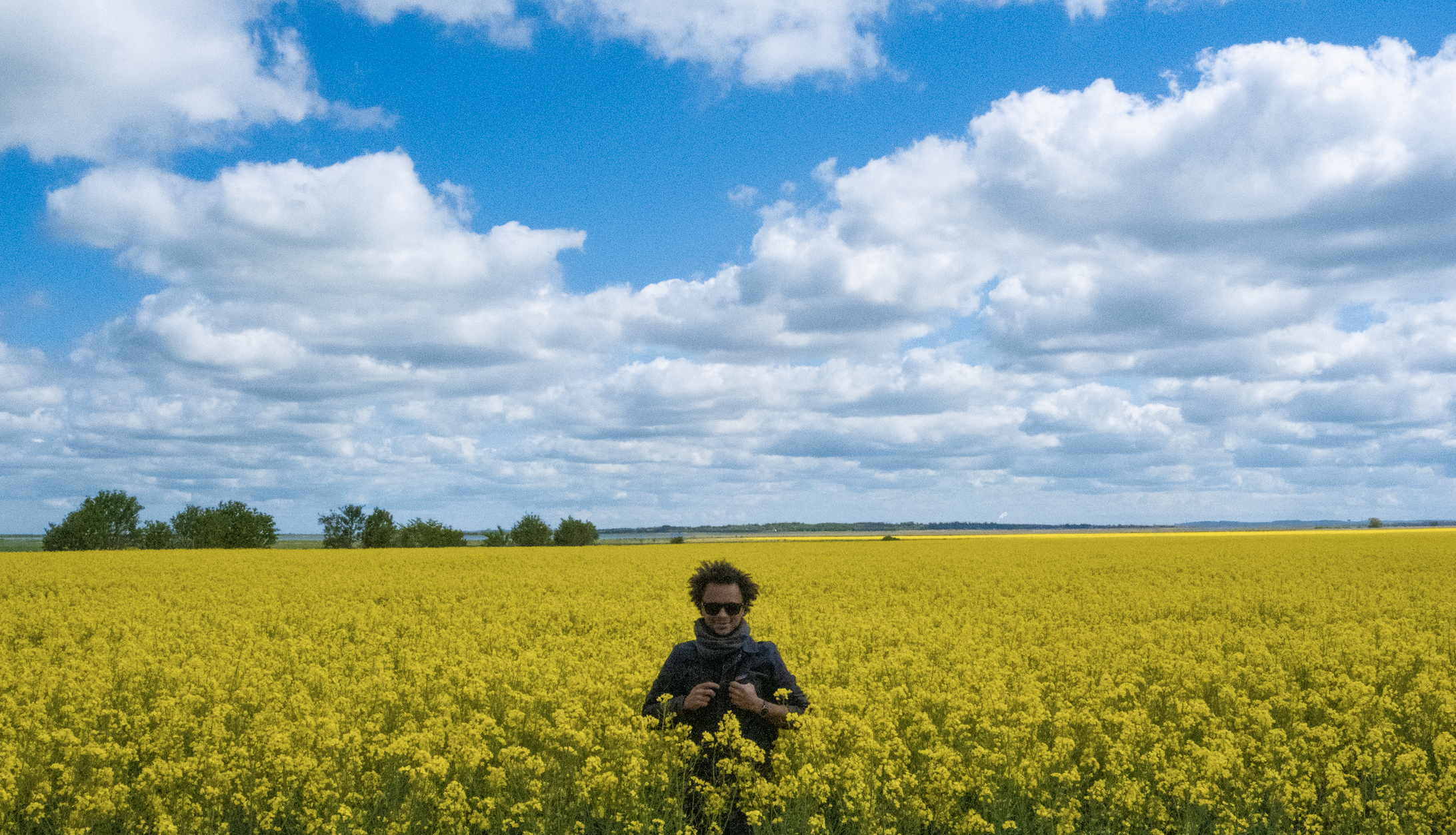 Ріпак озимий, 482 т