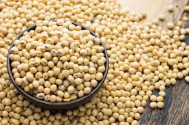 Соя non-GMO, 539 т