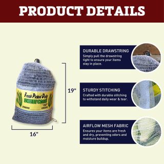 Насіння кукурудзи Syngenta