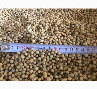 Продам сою, Хмельницька обл.