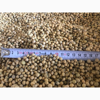 Продам сою, Хмельницька обл.