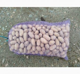 ФГ продає насінневу картоплю сортів Королева Анна та Гранада від виробника, Чернігівська обл.