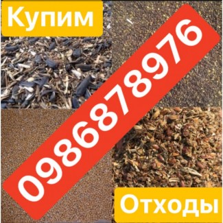 Закупаем отходы Подсолнечника, отходы подсолнуха, відходи соняшника, Дніпропетровська обл.