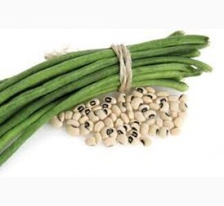 Китайская спаржевая фасоль вигна, Дніпропетровська обл.