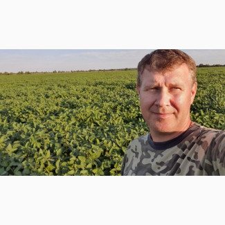 Продаємо Сою ГМО, Львівська обл.