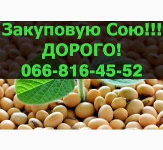 Пропоную найвищі ціни за СОЮ свіжого року урожаю, Полтавська обл.