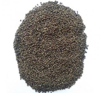 Насіння люцерни магнічена, Полтавська обл.