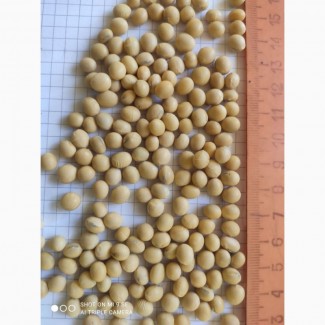 Продам посевной материал сои сорт P03T68R2 (продам), Полтавська обл.