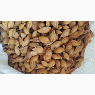 Продам кісточку абрикосову, Полтавська обл.