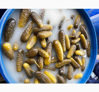 Огірок Солений у смачному росолі хрусткий, Волинська обл.