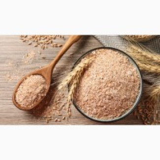 Компанія гуртом продає пшеничні висівки від 23 т, Київська обл.