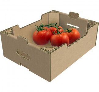 Гофролотки для ягід, персиків, огірків, помідорів, яблук, черешень, зелені, Львівська обл.