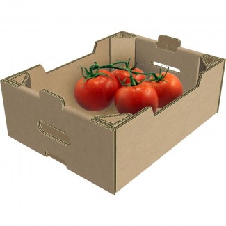 Гофролотки для ягід, персиків, огірків, помідорів, яблук, черешень, зелені, Львівська обл.