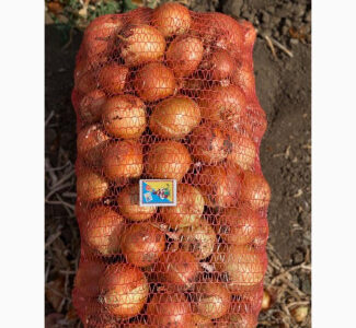 Продам цибулю лук репчатый оптом на экспорт, Одеська обл.