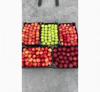 Продам яблука, Вінницька обл.