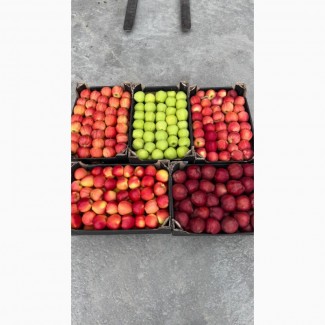 Продам яблука, Вінницька обл.