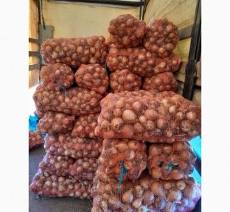 Продам цибулю сорту Банко, ціна договірна, Полтавська обл.