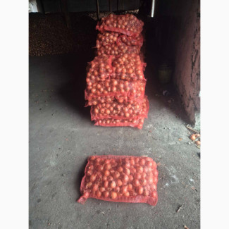 Продам лук, Миколаївська обл.