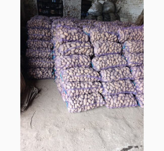 Продам насіннєву картоплю сорт Гранада, Волинська обл.