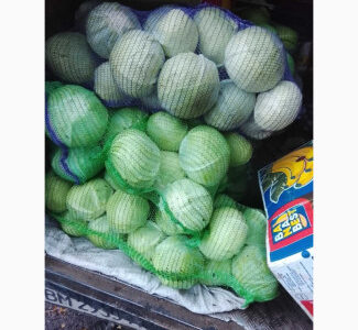 Продам капусту, Сумська обл.