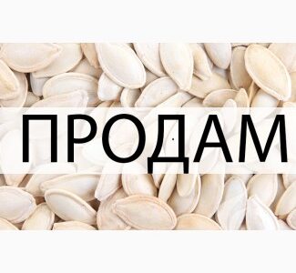Продам гарбузове насіння у великому об'ємі, Полтавська обл.
