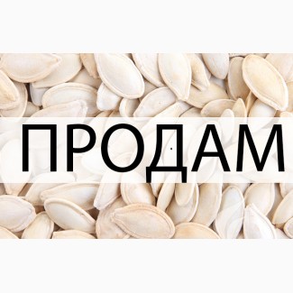 Продам гарбузове насіння у великому об'ємі, Полтавська обл.