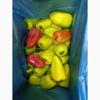 Перець Тріо цілий заморожений, Полтавська обл.