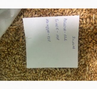 Ячмінь голозерний на крупу, Хмельницька обл.