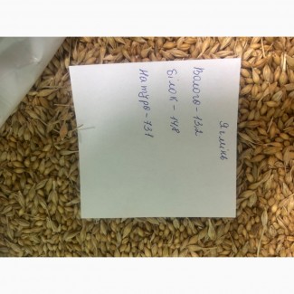 Ячмінь голозерний на крупу, Хмельницька обл.