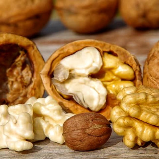 Куплю волоські горіхи, Тернопільська обл.