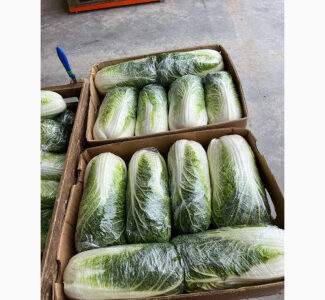 Продам Пекінську капусту, Чернівецька обл.