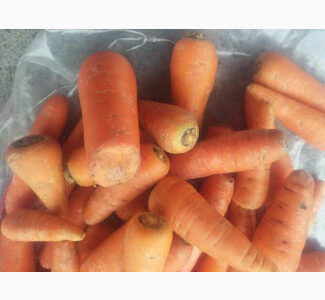 Морква друга категорія гуртом • Сітка 20 кг. Опт від 10 тонн, Київська обл.