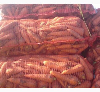 Морква 2 категорії гуртом • Сітка 20 кг • Для великих обсягів від 10 тонн, Дніпропетровська обл.