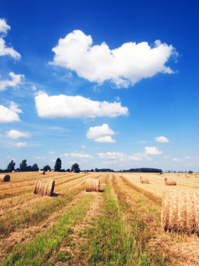 Земля и недвижимость