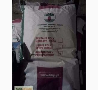 Кормовой буряк Польша, Волинська обл.