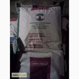 Кормовой буряк Польша, Волинська обл.