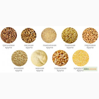 Крупы ассортимент гречка пшено рисы пшеничка ячка овсянка сахар муки, Київська обл.