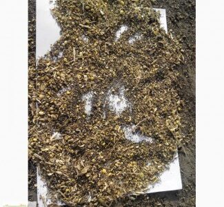 Куплю отходы, Київ