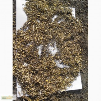 Куплю отходы, Київ