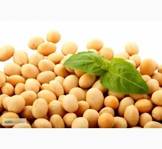 Куплю сою любую, любой обьем, Київ