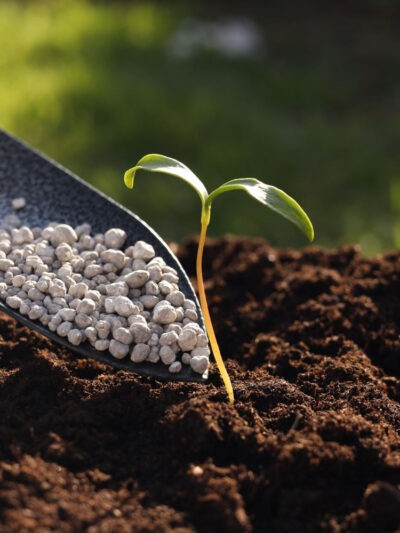 Удобрения и агрохимия