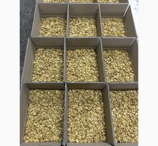 Продам ядро грецкого ореха оптом от 1т, Черкаська обл.