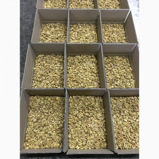 Продам ядро грецкого ореха оптом от 1т, Черкаська обл.