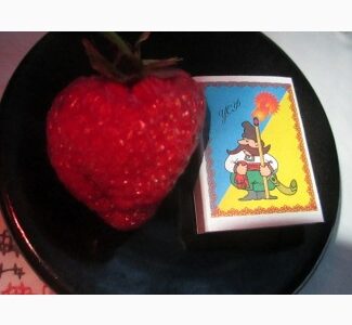 Продам саженцы клубники крупноплодной, Вінницька обл.