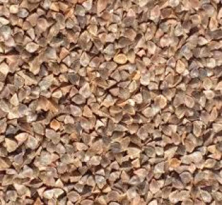 Куплю зерно гречки, соняшника, пшениці Тернопіль, Франківськ, Львів, самовивіз, Тернопільська обл.