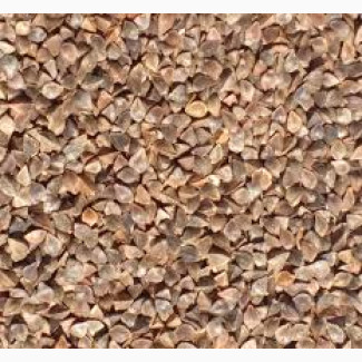 Куплю зерно гречки, соняшника, пшениці Тернопіль, Франківськ, Львів, самовивіз, Тернопільська обл.